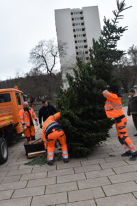 Aufbau Weihnachtsbaum auf dem Ernst-Reuter-Platz