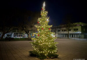 Weihnachtsbaum 2020, Giebel. Foto GOEDE