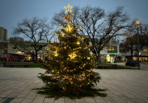 der Giebeler Weihnachtsbaum 2022 auf dem Ernst-Reuter-Platz